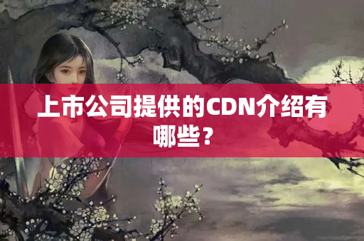 上市公司提供的CDN介紹有哪些？