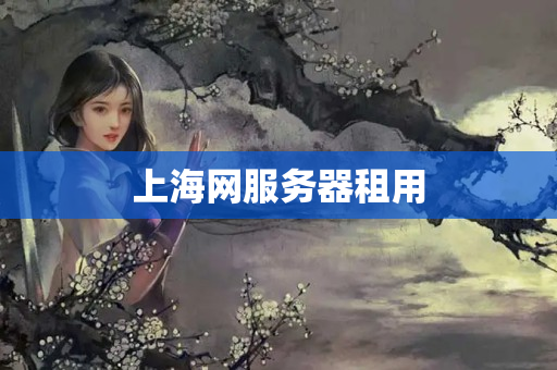 上海網(wǎng)服務(wù)器租用