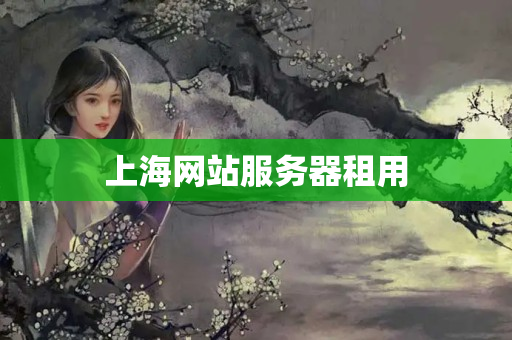 上海網(wǎng)站服務(wù)器租用