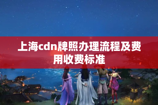 上海cdn牌照辦理流程及費用收費標準