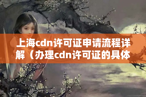 上海cdn許可證申請(qǐng)流程詳解（辦理cdn許可證的具體步驟）