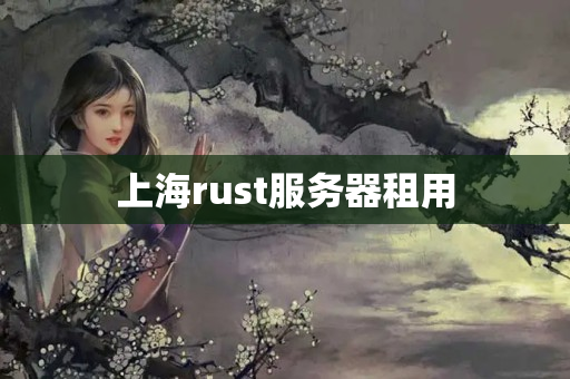 上海rust服務(wù)器租用