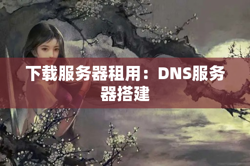 下載服務(wù)器租用：DNS服務(wù)器搭建