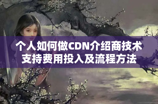 個人如何做CDN介紹商技術(shù)支持費用投入及流程方法