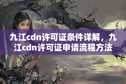 九江cdn許可證條件詳解，九江cdn許可證申請(qǐng)流程方法