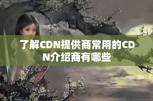 了解CDN提供商常用的CDN介紹商有哪些