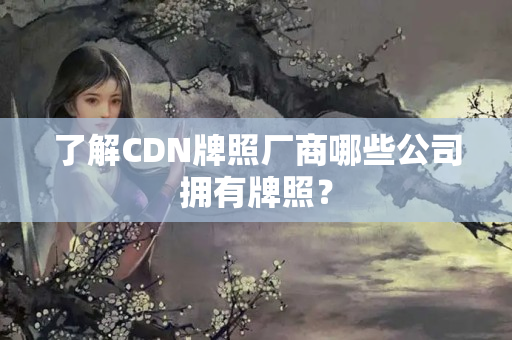 了解CDN牌照廠商哪些公司擁有牌照？