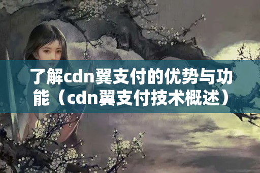 了解cdn翼支付的優(yōu)勢與功能（cdn翼支付技術(shù)概述）