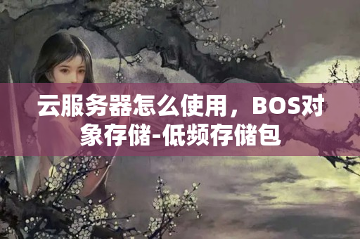 云服務(wù)器怎么使用，BOS對(duì)象存儲(chǔ)-低頻存儲(chǔ)包