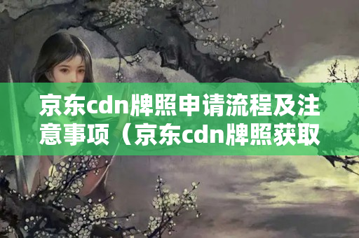 京東cdn牌照申請流程及注意事項（京東cdn牌照獲取方法）