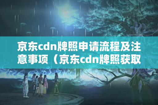 京東cdn牌照申請流程及注意事項（京東cdn牌照獲取方法）