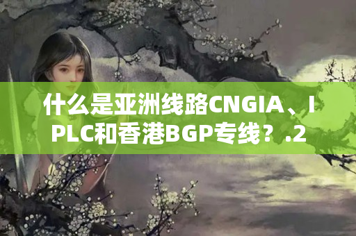 什么是亞洲線路CNGIA、IPLC和香港BGP專線？