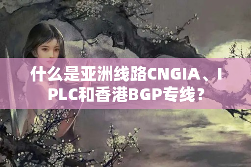 什么是亞洲線路CNGIA、IPLC和香港BGP專線？