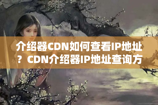 介紹器CDN如何查看IP地址？CDN介紹器IP地址查詢方法介紹