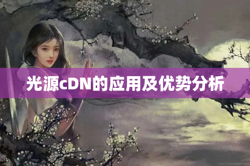 光源cDN的應用及優(yōu)勢分析