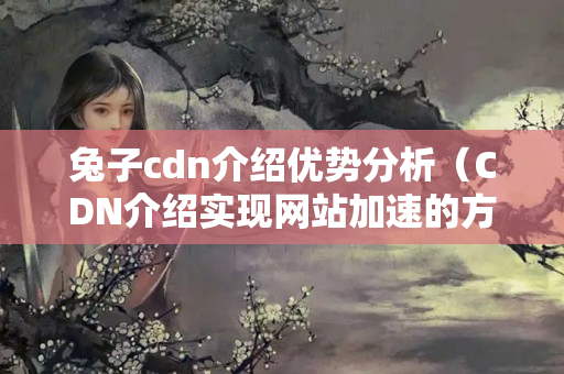 兔子cdn介紹優(yōu)勢分析（CDN介紹實現(xiàn)網(wǎng)站加速的方法）