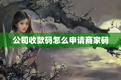 公司收款碼怎么申請(qǐng)商家碼