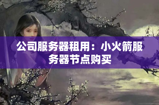 公司服務(wù)器租用：小火箭服務(wù)器節(jié)點購買