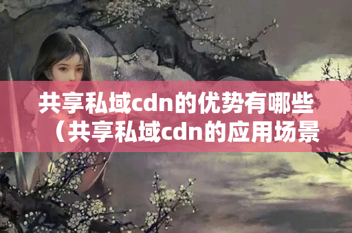 共享私域cdn的優(yōu)勢有哪些（共享私域cdn的應用場景）