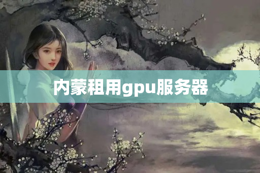 內(nèi)蒙租用gpu服務(wù)器