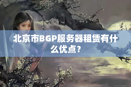 北京市BGP服務(wù)器租賃有什么優(yōu)點(diǎn)？