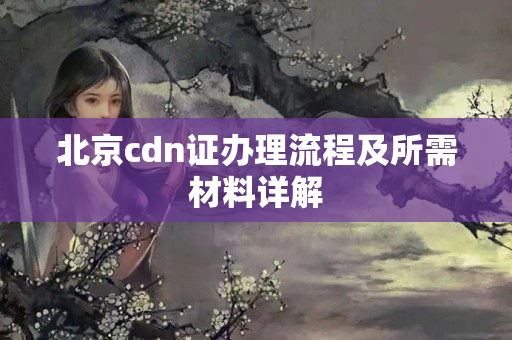 北京cdn證辦理流程及所需材料詳解