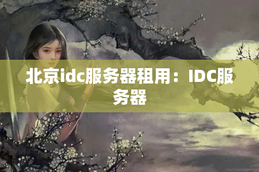 北京idc服務(wù)器租用：IDC服務(wù)器