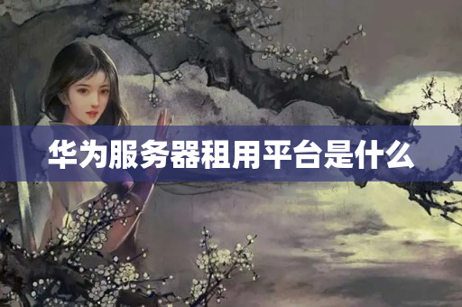 華為服務(wù)器租用平臺(tái)是什么