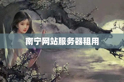 南寧網(wǎng)站服務(wù)器租用