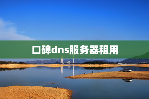 口碑dns服務(wù)器租用