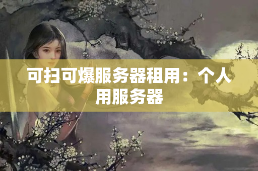 可掃可爆服務(wù)器租用：個(gè)人用服務(wù)器