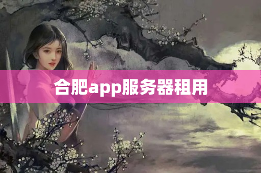 合肥app服務器租用