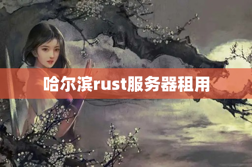 哈爾濱rust服務(wù)器租用