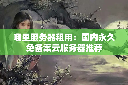 哪里服務(wù)器租用：國內(nèi)永久免備案云服務(wù)器推薦