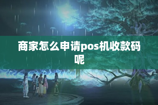 商家怎么申請pos機(jī)收款碼呢