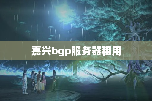 嘉興bgp服務(wù)器租用