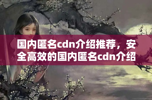 國內(nèi)匿名cdn介紹推薦，安全高效的國內(nèi)匿名cdn介紹體驗(yàn)