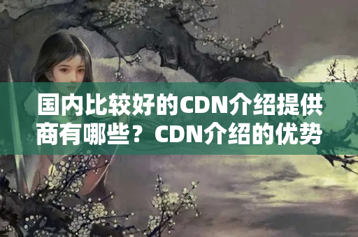 國內(nèi)比較好的CDN介紹提供商有哪些？CDN介紹的優(yōu)勢與劣勢有哪些？