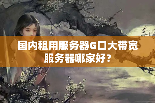 國內(nèi)租用服務(wù)器G口大帶寬服務(wù)器哪家好？