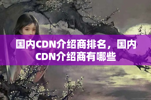 國內(nèi)CDN介紹商排名，國內(nèi)CDN介紹商有哪些