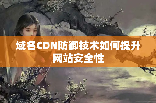 域名CDN防御技術如何提升網(wǎng)站安全性