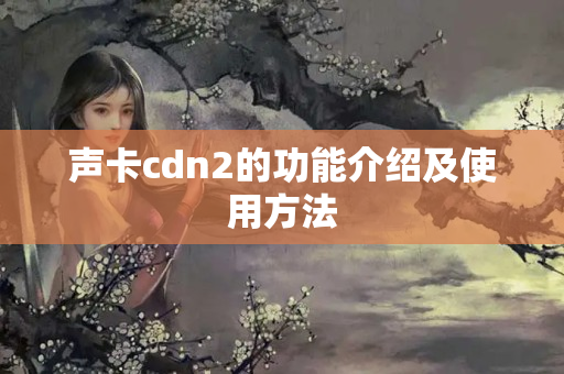 聲卡cdn2的功能介紹及使用方法