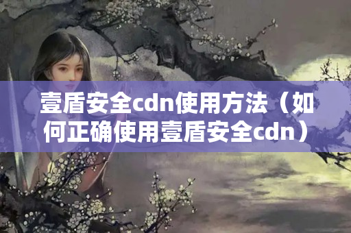 壹盾安全cdn使用方法（如何正確使用壹盾安全cdn）