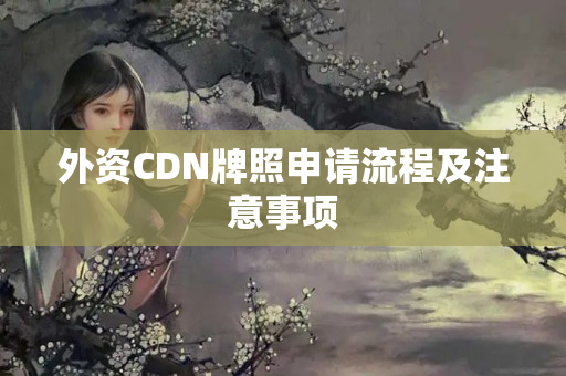 外資CDN牌照申請流程及注意事項