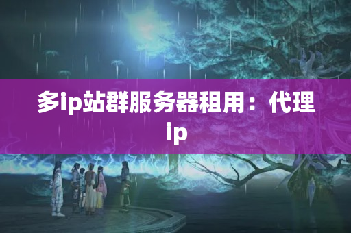 多ip站群服務(wù)器租用：代理ip