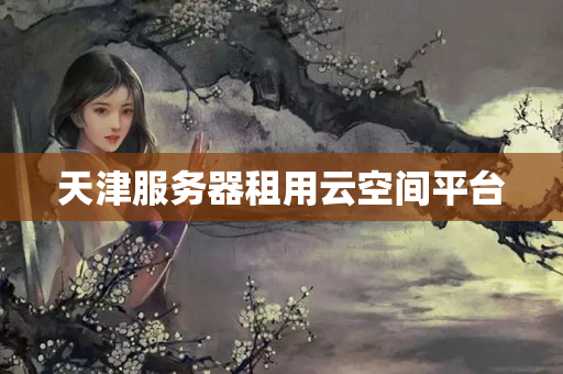 天津服務(wù)器租用云空間平臺