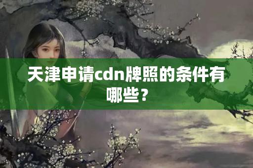 天津申請(qǐng)cdn牌照的條件有哪些？