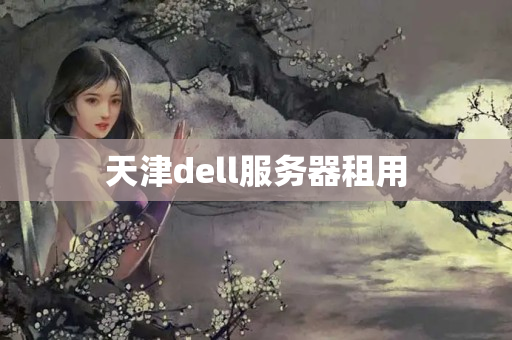 天津dell服務(wù)器租用