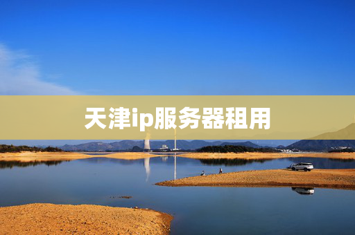 天津ip服務(wù)器租用