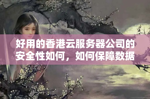 好用的香港云服務(wù)器公司的安全性如何，如何保障數(shù)據(jù)安全和隱私？